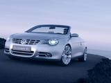 2004 Volkswagen Concept C