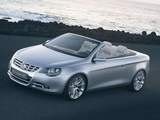 2004 Volkswagen Concept C